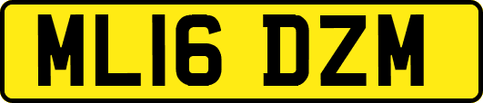 ML16DZM