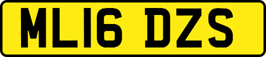 ML16DZS