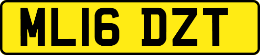 ML16DZT