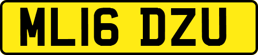 ML16DZU