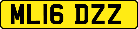 ML16DZZ