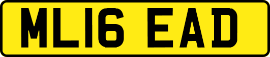 ML16EAD