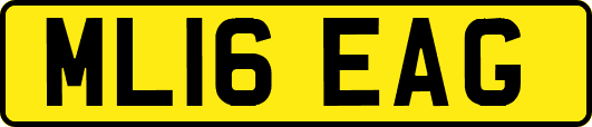 ML16EAG