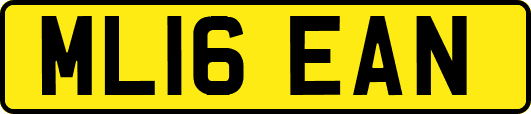 ML16EAN