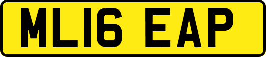ML16EAP
