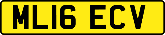 ML16ECV