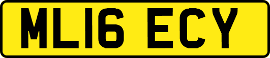 ML16ECY