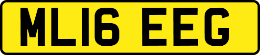 ML16EEG