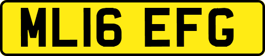ML16EFG