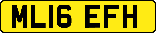 ML16EFH