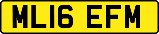 ML16EFM