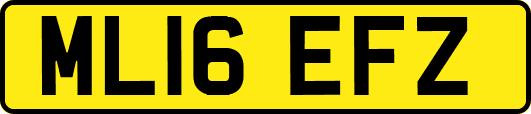 ML16EFZ