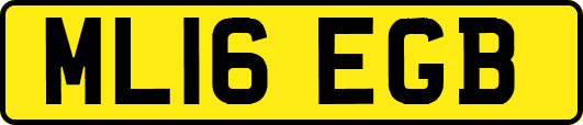 ML16EGB