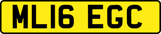 ML16EGC