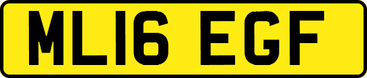 ML16EGF