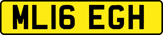 ML16EGH