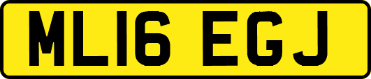 ML16EGJ