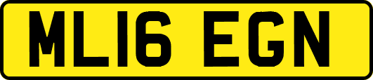 ML16EGN