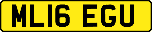 ML16EGU