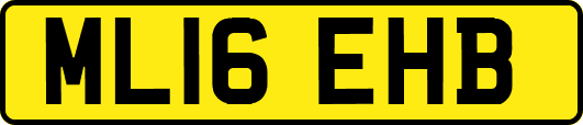 ML16EHB