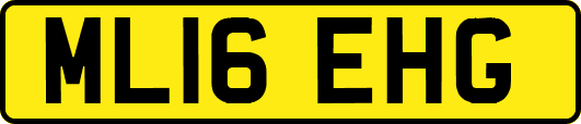 ML16EHG
