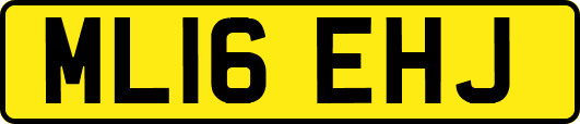ML16EHJ