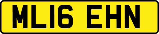 ML16EHN