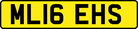 ML16EHS