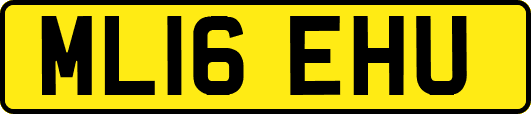 ML16EHU