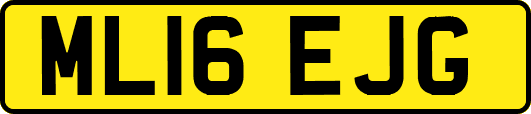 ML16EJG