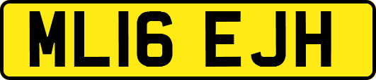 ML16EJH