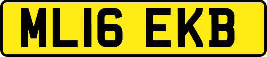 ML16EKB