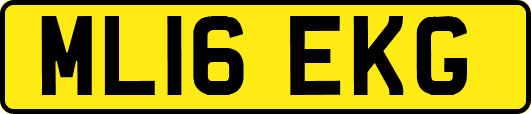 ML16EKG