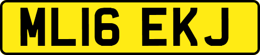 ML16EKJ