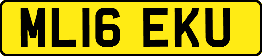 ML16EKU