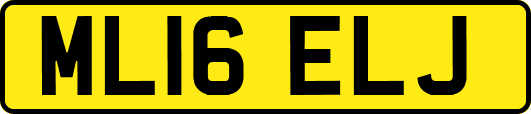 ML16ELJ