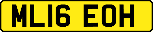 ML16EOH