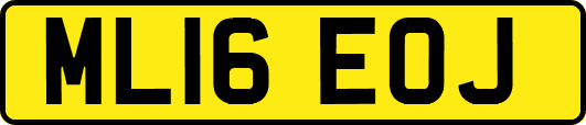 ML16EOJ
