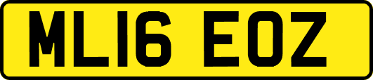 ML16EOZ