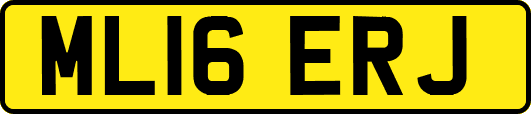 ML16ERJ