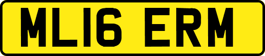 ML16ERM