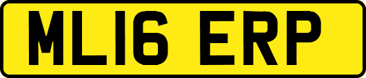 ML16ERP