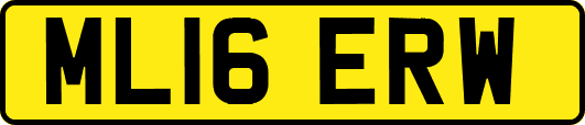 ML16ERW