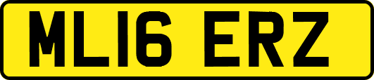 ML16ERZ