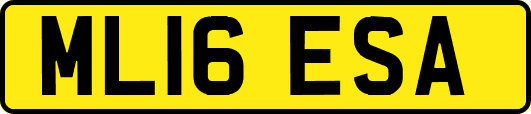 ML16ESA