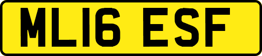 ML16ESF