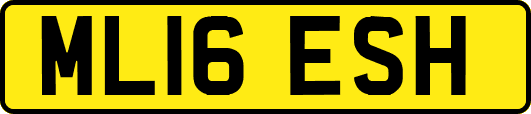 ML16ESH