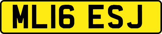 ML16ESJ