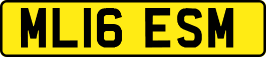 ML16ESM