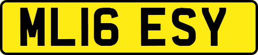 ML16ESY